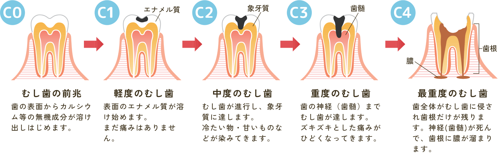 一般歯科 - 高知市の歯科・歯医者なら嶋本歯科クリニック｜インプラント治療は400症例以上の実績と信頼